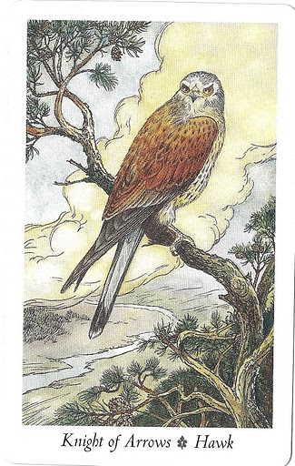 WildWood Tarot